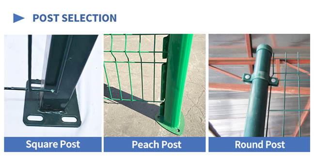Van de Draadmesh fence van ECO de Vriendschappelijke pvc Met een laag bedekte 3D Gebogen Veiligheid Gelaste Omheining 1