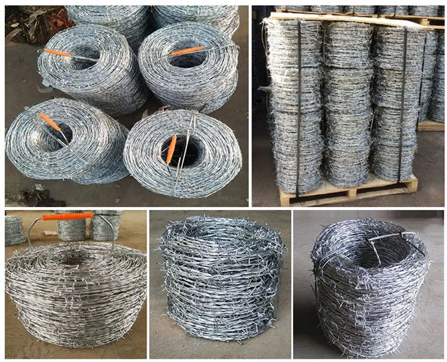 4 punten 2 strengen elektrisch gegalvaniseerd prikkeldraad dubbele twist 2