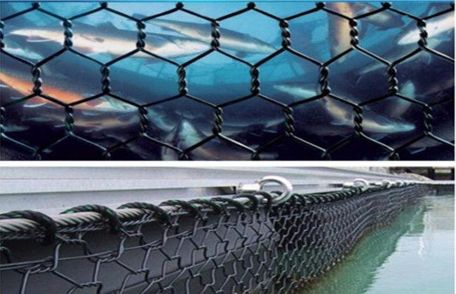 3×4cm 5x6cm Gabion Mesh Basket Polyester Kikko Net voor het Diepzeevissenfokken 1