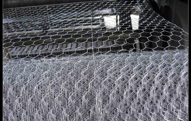 4ft Gegalvaniseerd Gevogelte Hexagonaal Draad het Opleveren pvc Met een laag bedekt Kippegaas BWG 12 0
