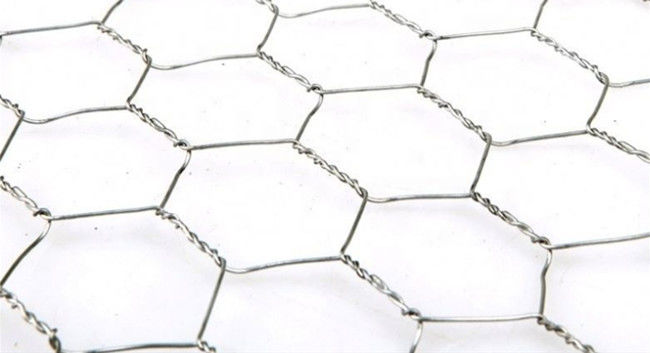 Breedte van de Kippenmesh fence Q195 0.5m van HDG de Hexagonale voor Gevogelte 0