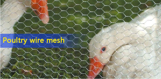 3ft×150ft 19 MaatKippegaas Yardgard 2 Duim Mesh Poultry Netting 1
