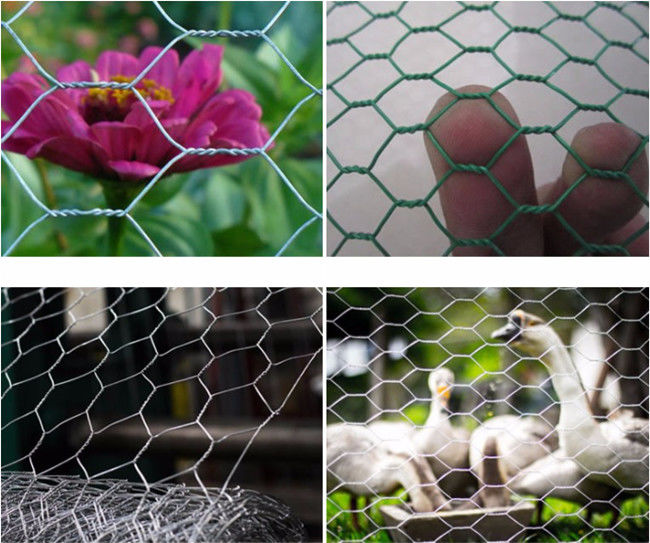 Breedte van de Kippenmesh fence Q195 0.5m van HDG de Hexagonale voor Gevogelte 1