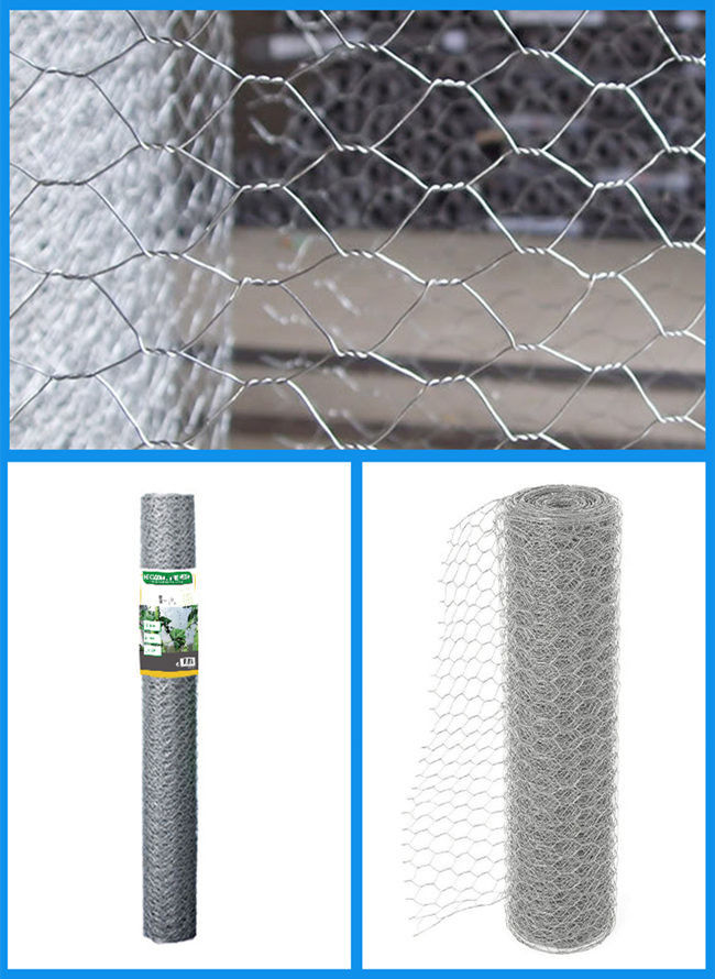 1.4mm 2 Duim Mesh Chicken Wire Netting Galvanised Hexagonale ISO 9001 Antiroest 0