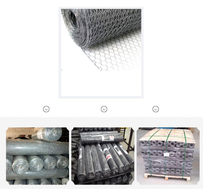 BWG 24 Zilver 100ft Kippegaas Mesh Fence Electro Galvanized Hexagonal 2