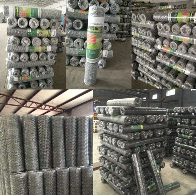 3/4 Duim 19mm de Draadnet van Kippenmesh fence electro galvanized hexagonal 2