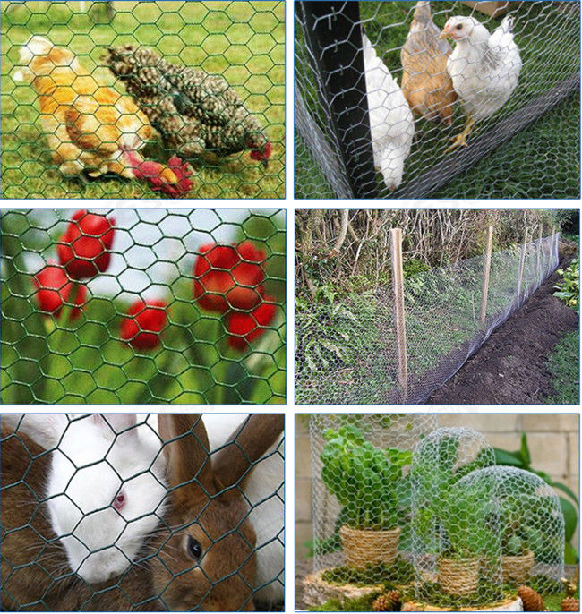 0.42mm galvaniseerden 1.2m Hoog Kippegaas Mesh Fence For Rabbits Cage 1