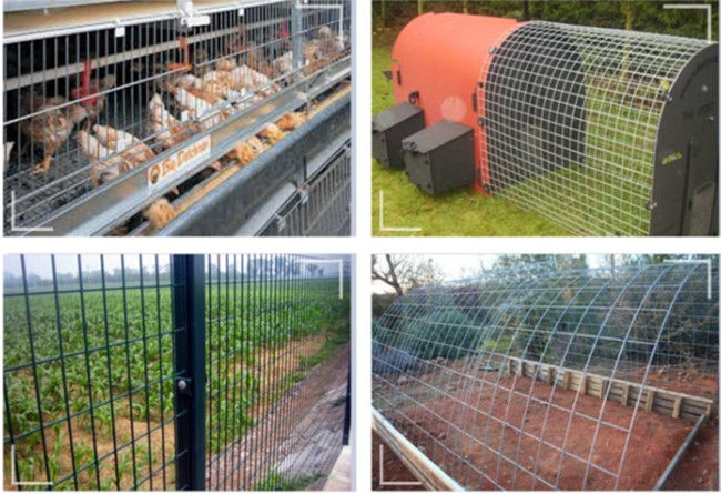 Zilver 2×2in 2×4 BWG 13 Gegalvaniseerde Draad Mesh Sheets Panels 2.11mm Met grote trekspanning 2