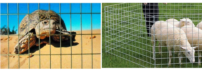 50×50×2.5mm de Met een laag bedekte Draad Mesh Panels 2.2m van de Metaalkooi Poeder Gegalvaniseerd Staal 2